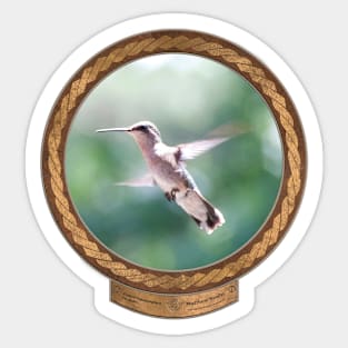 Paused Hummingbird #2 Sticker